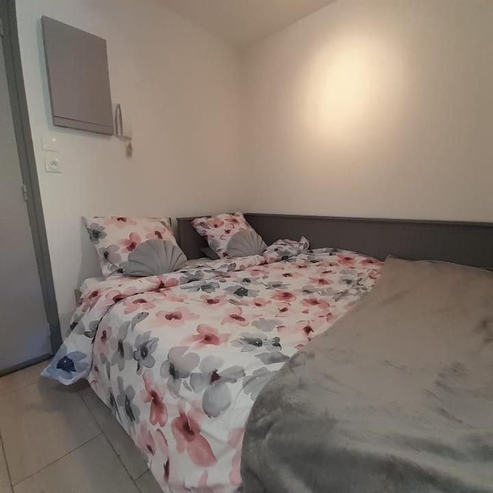 Petit Paradis Classe 3 Etoiles A 200M De La Plage! Terrasse-Wifi-Parking-Clim Сен-Мандри-сюр-Мер Екстериор снимка